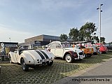 Zandlemig Vlaanderen